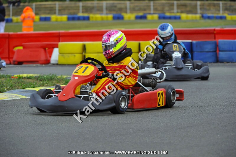 DSC_ (2222).jpg